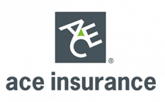 ACE Insurance logo Sas. Assurantiën